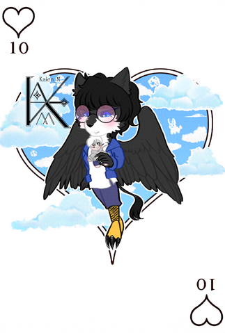 Create Date : 12 May 2025