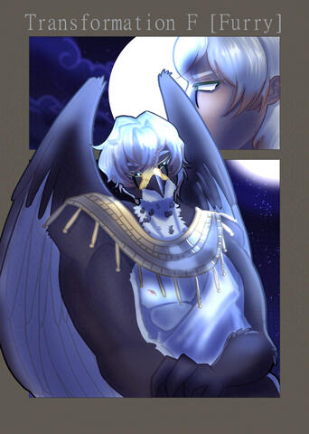 Create Date : 17 October 2025